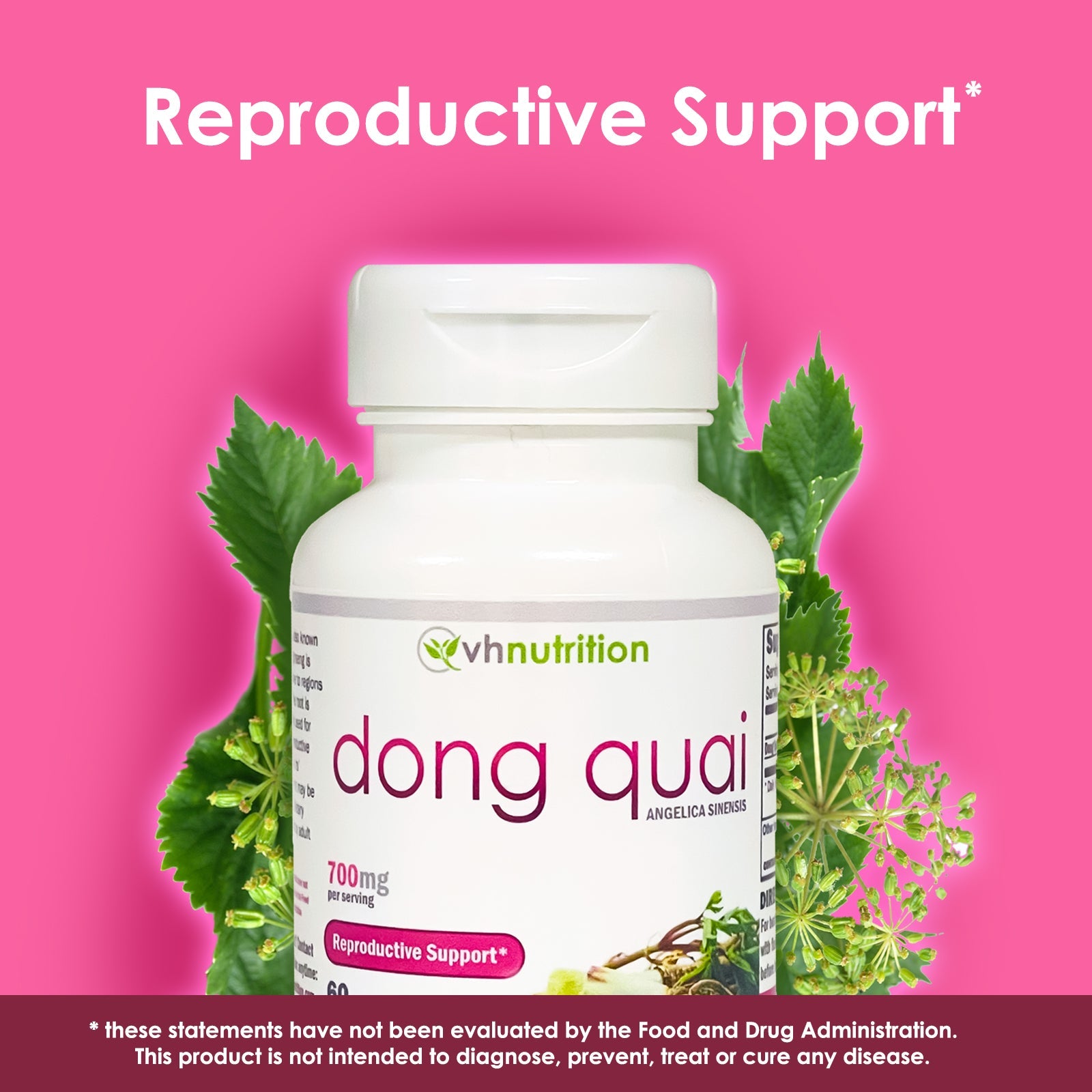 VH Nutrition DONG QUAI | Reproductive Support* Supplement | Fertility Aid* for Women | 700mg Proprietary Formula | 60 Capsules