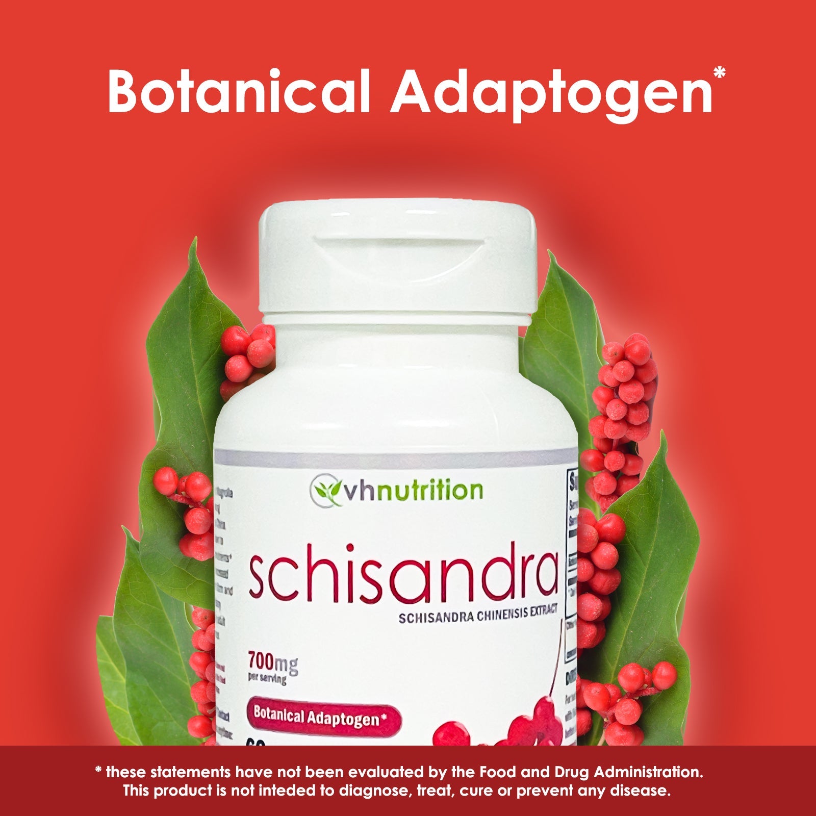 VH Nutrition SCHISANDRA | Botanical Adaptogen* |Schisandra Chinensis Extract | 700mg Proprietary Formula | 60 Capsules