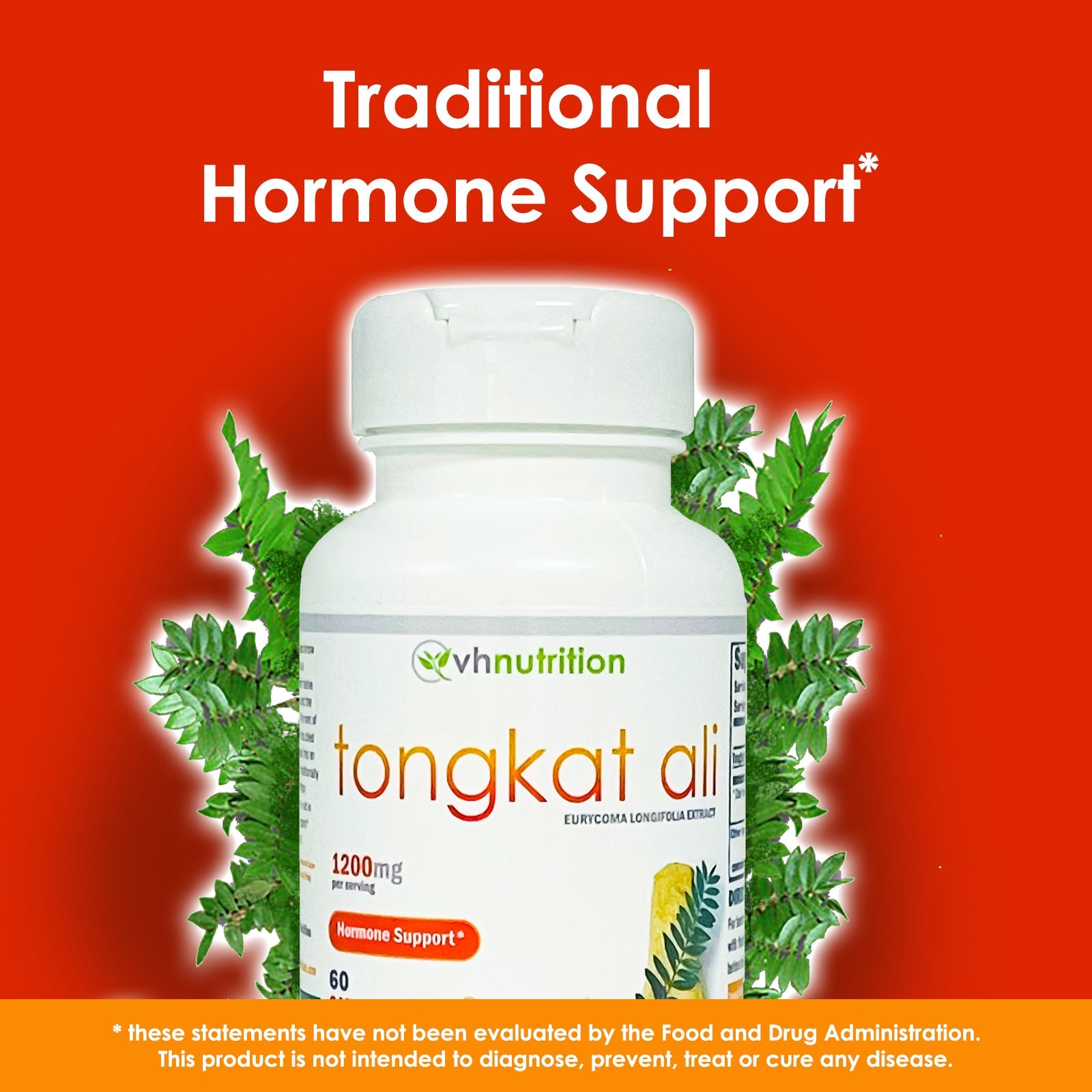 VH Nutrition TONGKAT ALI for Men | Extra Strength Mens Support Supplement* | 1200mg Per Serving | Pure Eurycoma Longifolia (LongJack) Extract Powder | 60 Capsules
