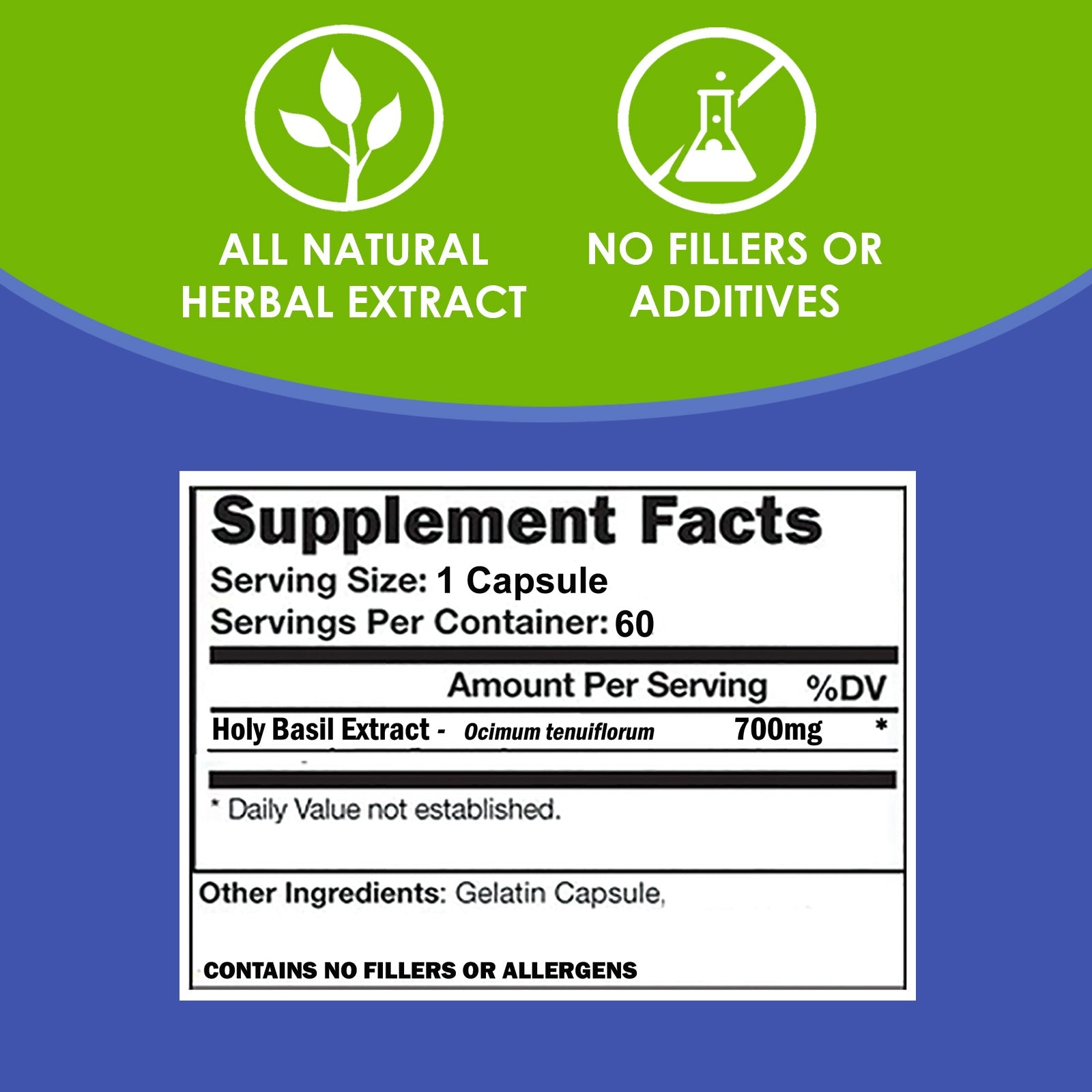 VH Nutrition HOLY BASIL | Herbal Adaptogen Support* | Improve Well-Being and Vitality | 700mg Proprietary Formula | 60 Capsules