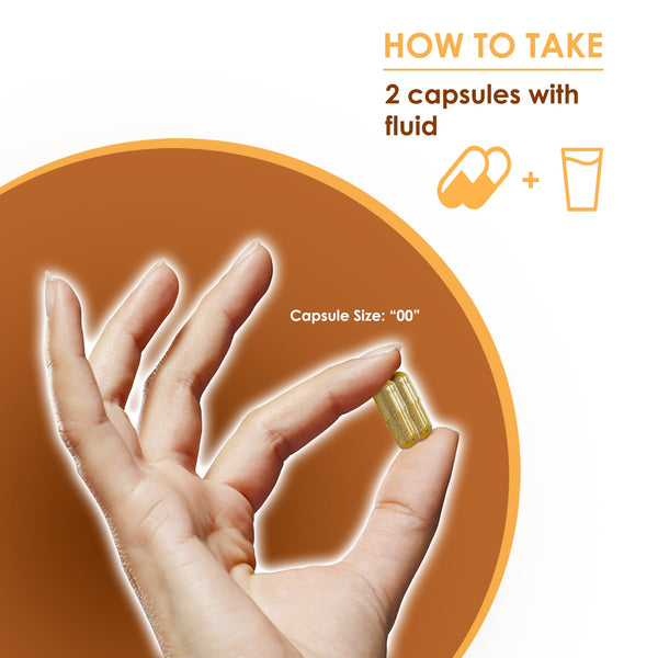 VH Nutrition Mushroom Supplement Mushroom Complex for Maximum Streng VH Nutrition LLC