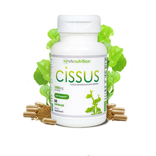 VH Nutrition CISSUS QUADRANGULARIS Capsules | Bone and Joint Support* Supplement | 60 Capsules