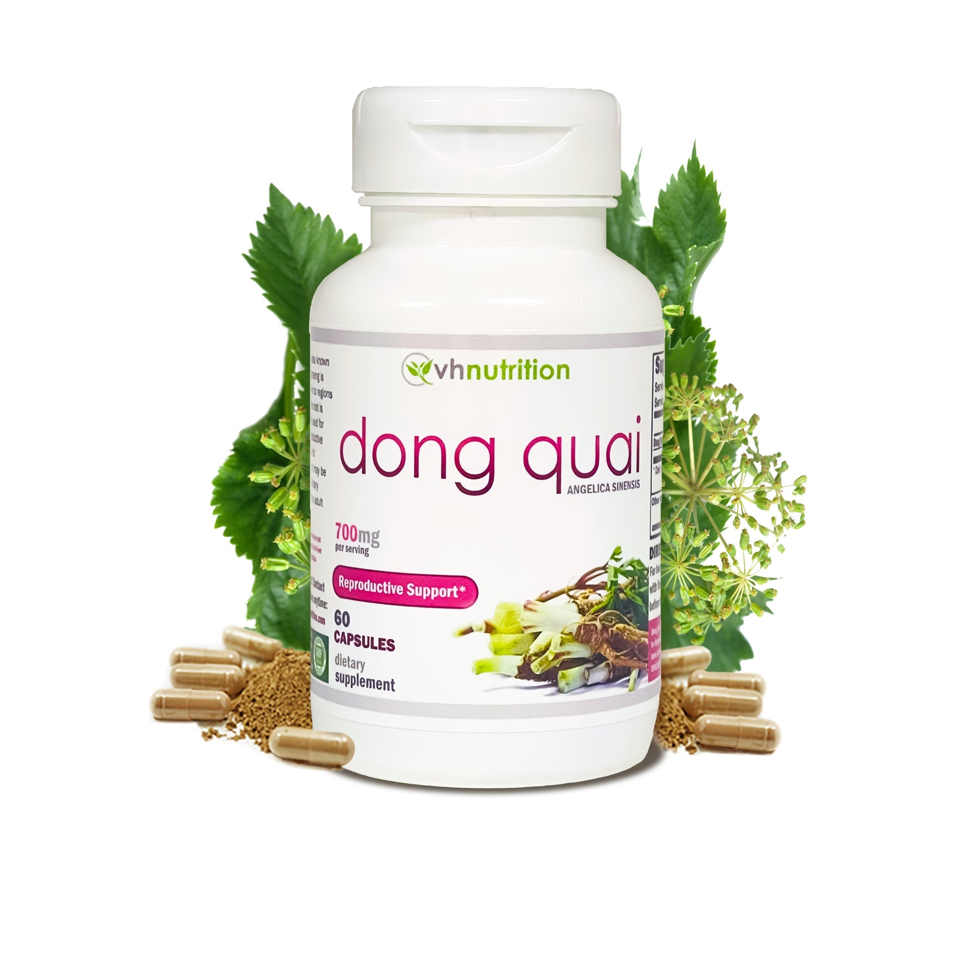 VH Nutrition DONG QUAI | Reproductive Support* Supplement | Fertility Aid* for Women | 700mg Proprietary Formula | 60 Capsules