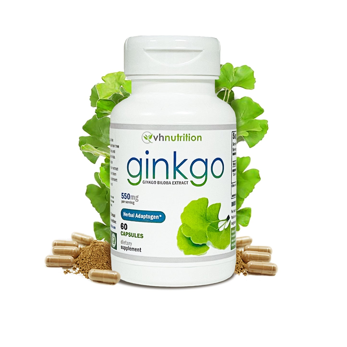 VH Nutrition GINKGO BILOBA | Cognitive and Memory Support* Supplement | 550mg | 60 Capsules