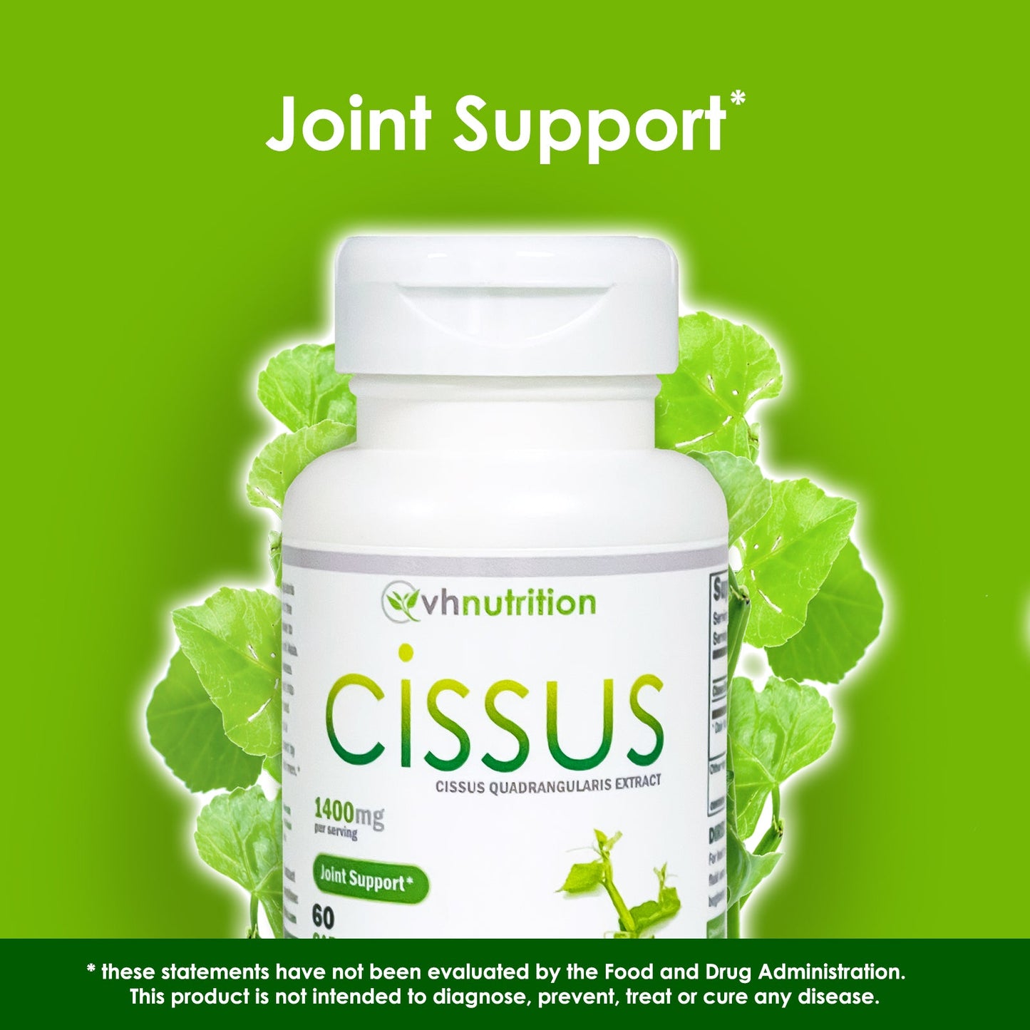 VH Nutrition CISSUS QUADRANGULARIS Capsules | Bone and Joint Support* Supplement | 60 Capsules