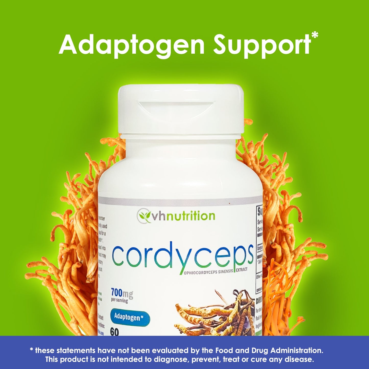 VH Nutrition CORDYCEPS | Cognitive and Hormone* Supplement | 700mg Per Serving | 60 Capsules