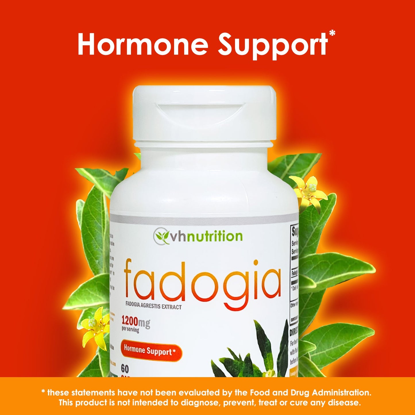 VH Nutrition FADOGIA AGRESTIS | 1200mg Per Serving | Mens Hormonal Support* | 60 Capsules