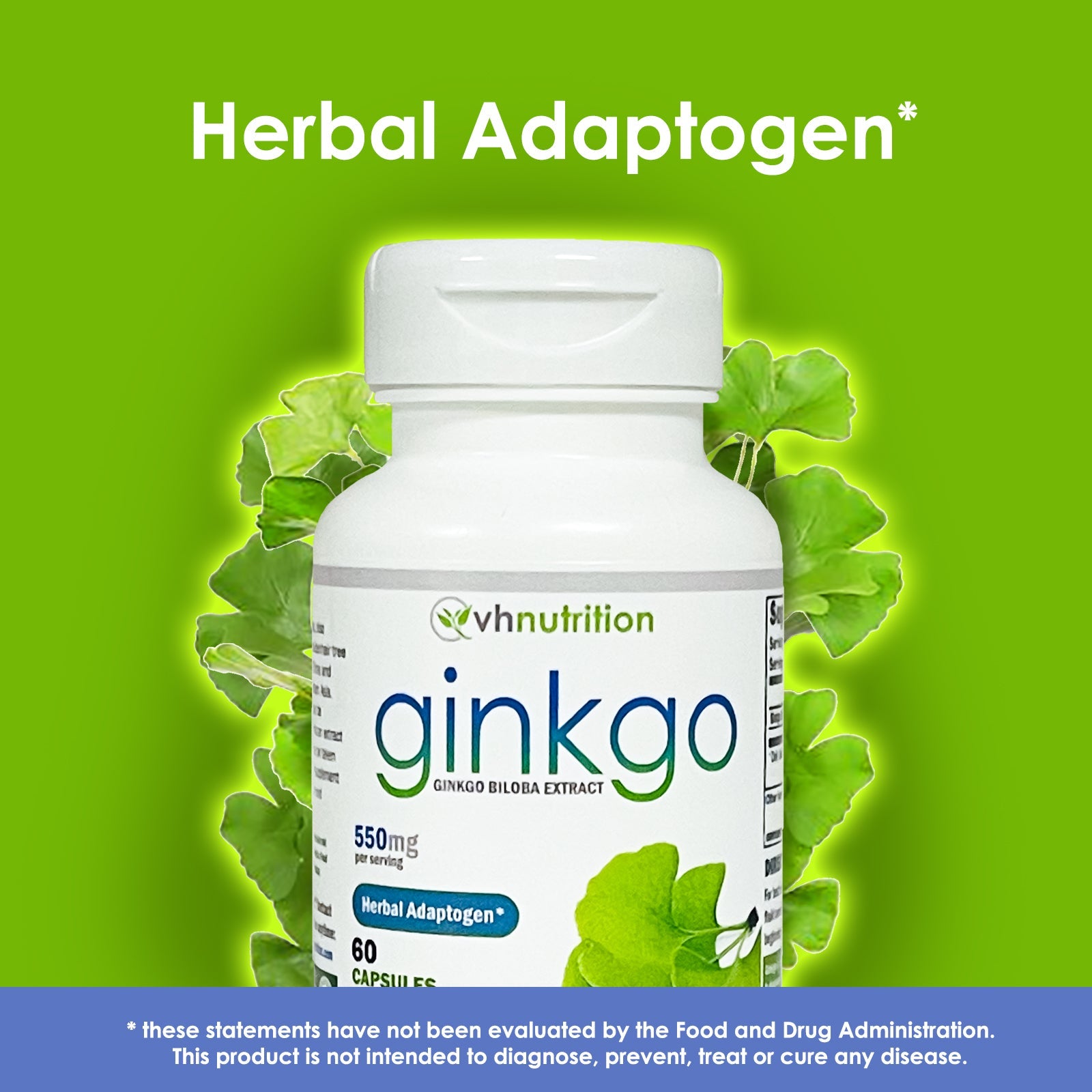 VH Nutrition GINKGO BILOBA | Cognitive and Memory Support* Supplement | 550mg | 60 Capsules