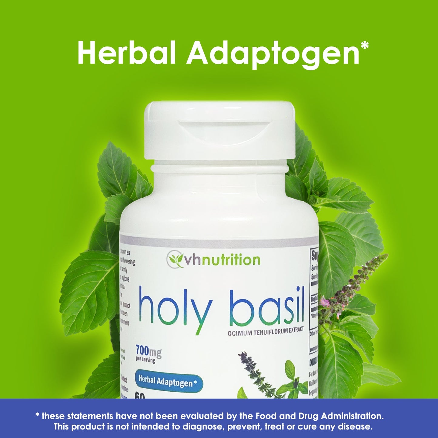 VH Nutrition HOLY BASIL | Herbal Adaptogen Support* | Improve Well-Being and Vitality | 700mg Proprietary Formula | 60 Capsules