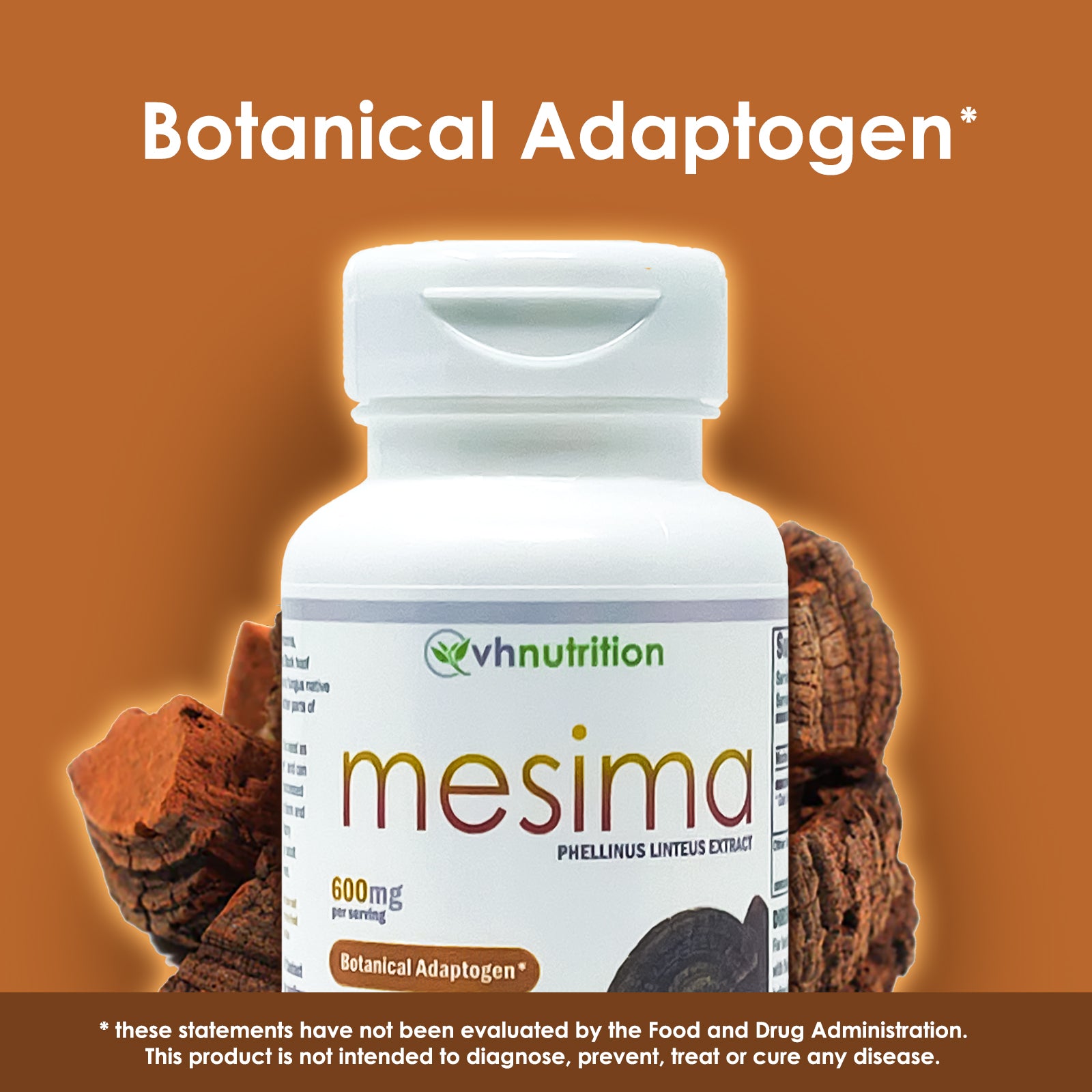 VH Nutrition MESIMA MUSHROOM | Botanical Adaptogen and Stress & Immune Support Supplement* | 600mg Per Serving | Standardized Phellinus linteus Extract Powder | 60 Capsules