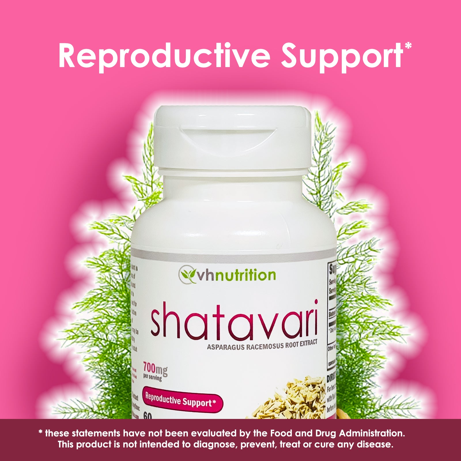 VH Nutrition SHATAVARI | Extra Strength Reproductive Support for Women* | 700mg Per Serving | Standardized Asparagus racemosus Extract Powder | 60 Capsules