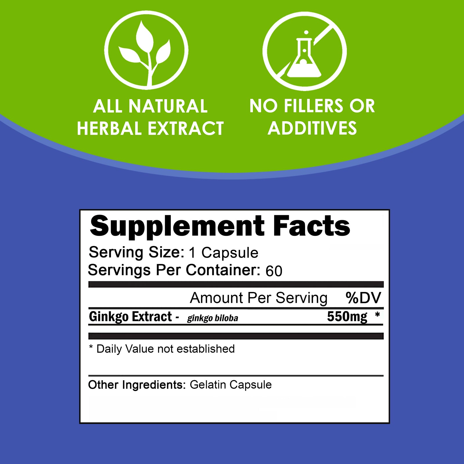 VH Nutrition GINKGO BILOBA | Maximum Strength Memory, Focus, and Brain Support Supplement
